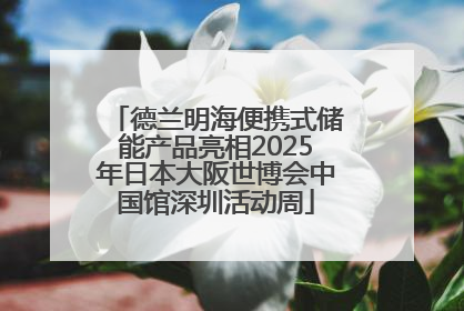 德兰明海便携式储能产品亮相2025年日本大阪世博会中国馆深圳活动周